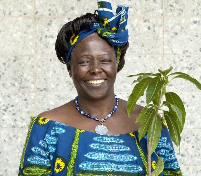 Wangari Maathai - Adera Software